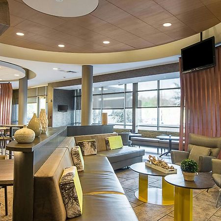 Springhill Suites Tampa North/Tampa Palms Exterior photo