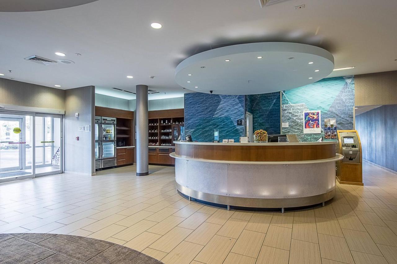 Springhill Suites Tampa North/Tampa Palms Exterior photo