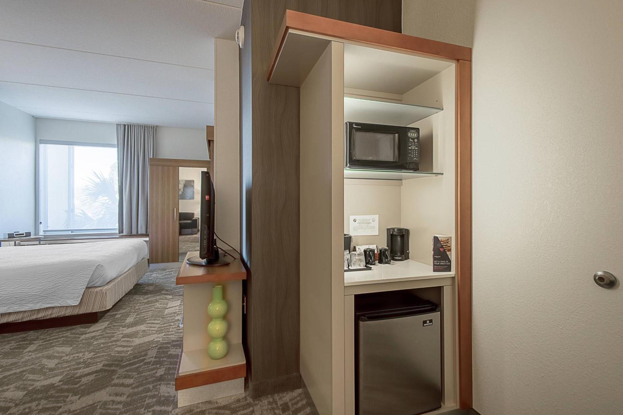 Springhill Suites Tampa North/Tampa Palms Exterior photo