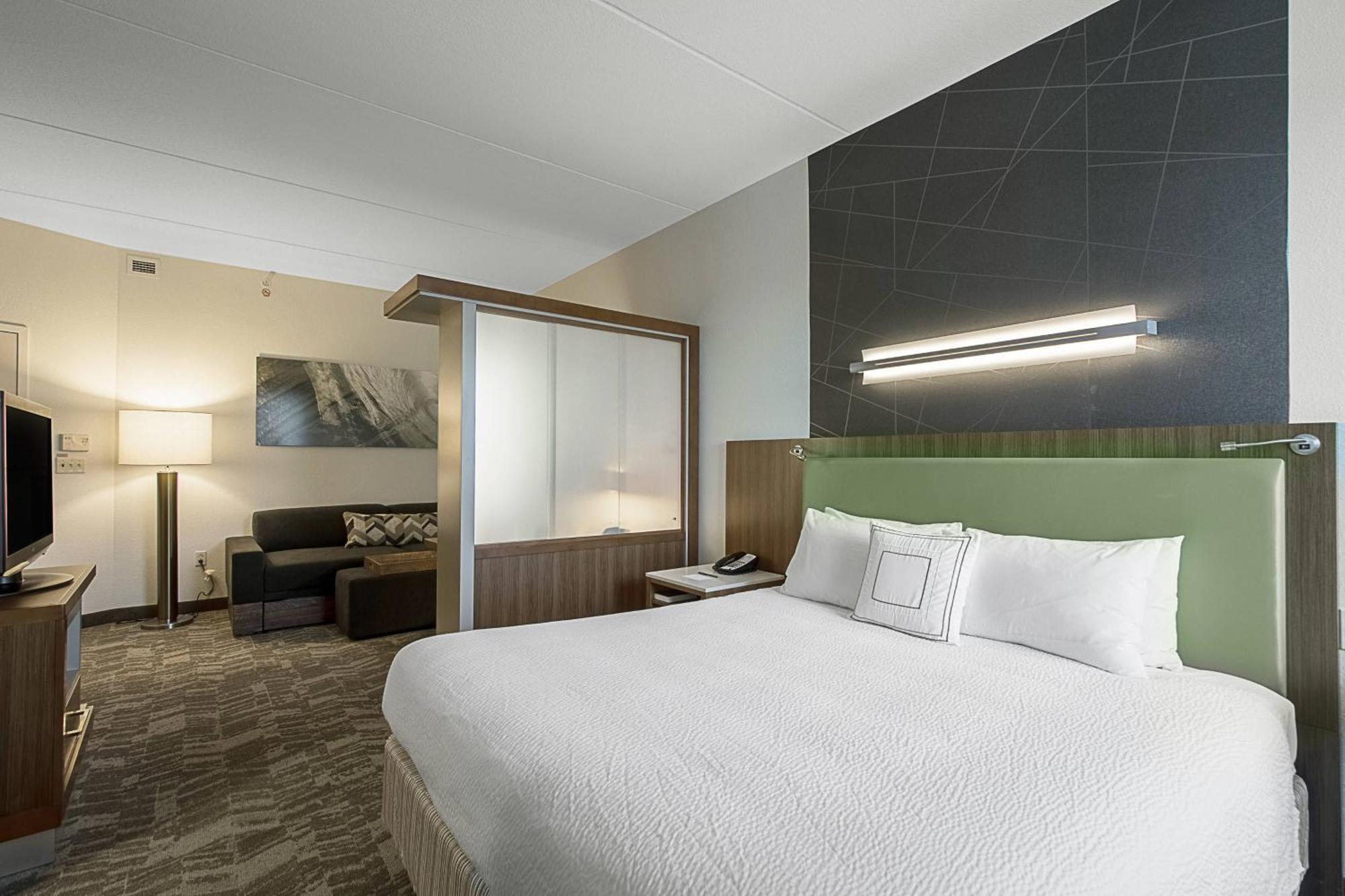 Springhill Suites Tampa North/Tampa Palms Exterior photo